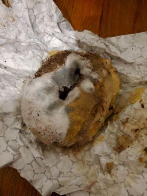 This is the mold covered bagel i was delivered tonight. This is soooooo gross. This is weeeeks of infestation.  DO YOU WANT TO EAT THIS???