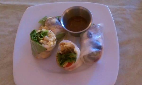 Vietnamese Spring Roll