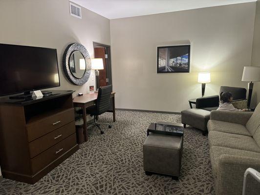 Suite 1023, living room area