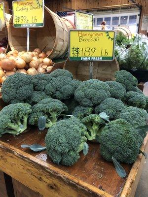 Homegrown broccoli