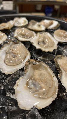 Fresh oysters by the dozen and more!!