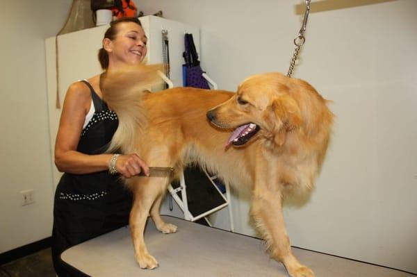 Cotati Dog Grooming & Boarding