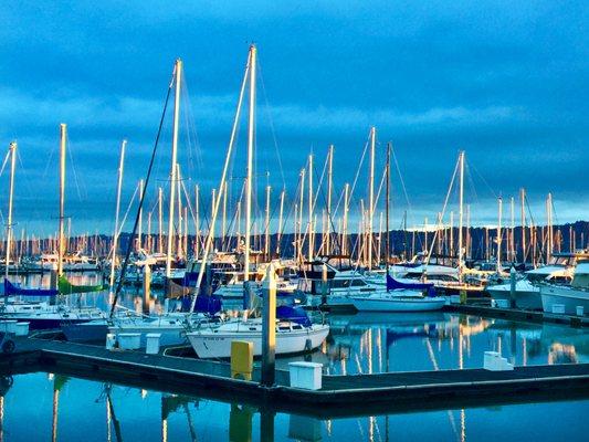 Morning at the Emeryville Marina.