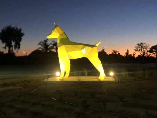 Nightfall at dog park