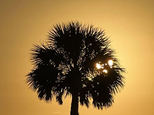 Sunrise time on Wabasso Beach on Saturday morning