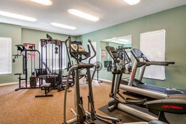 Fitness Center Cardio Equipment