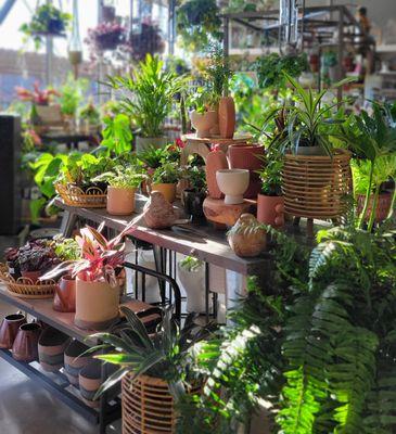 Houseplants and pottery are available all-year long