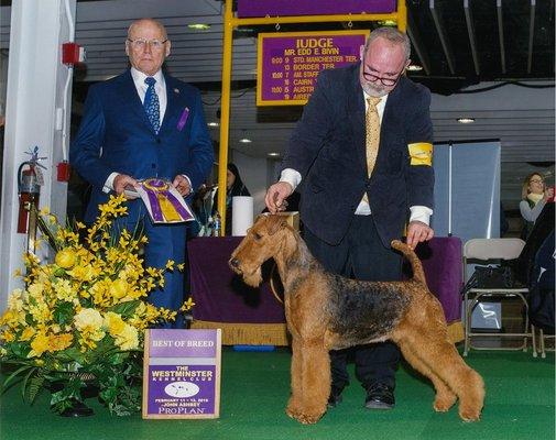 Lynaire Kennels & Crematory