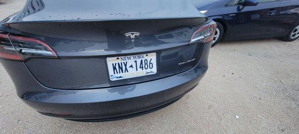 Cheap tesla owner