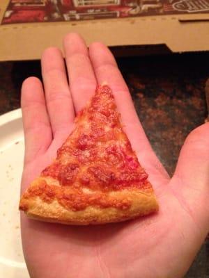 Is this seriously a slice of pizza?