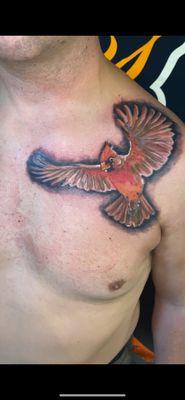 Full color Cardinal