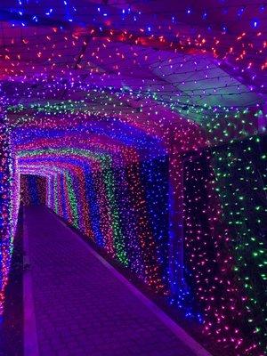 Hall of lights