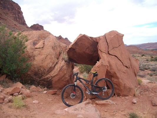 Santa Cruz Tallboy 29er from Moab Cyclery