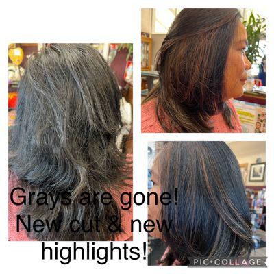 New cut & highlights