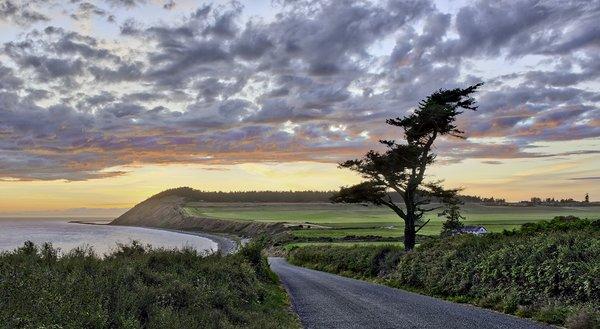 ©2017 - Photographic prints by Johnny Walker - this is Ebey's Landing on Whidbey Island