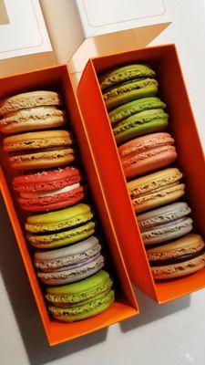 A dozen macarons!