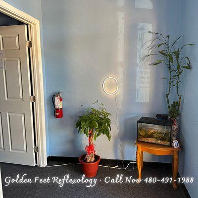 Welcome to Golden Feet Reflexology