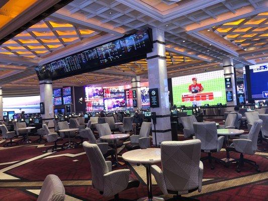 Sports Book