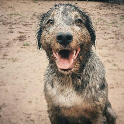 Clancy, all smiles after a fun day at Romp N' Run Ranch!