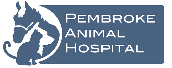 Pembroke Animal Hospital