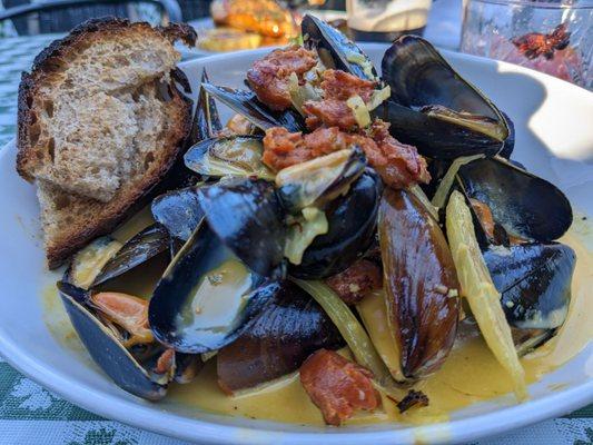 Mussels with cream sauce, so yummy!