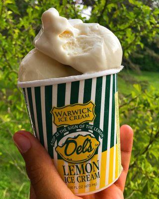 Del's Lemon Ice Cream