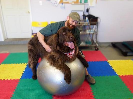 We also offer veterinary rehab services.