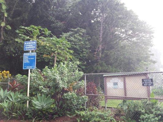 Kaneohe Community Garden