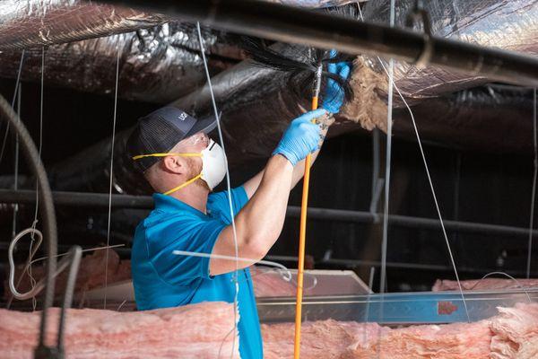 Mold colonies can also spread in the presence of condensation or humidity.