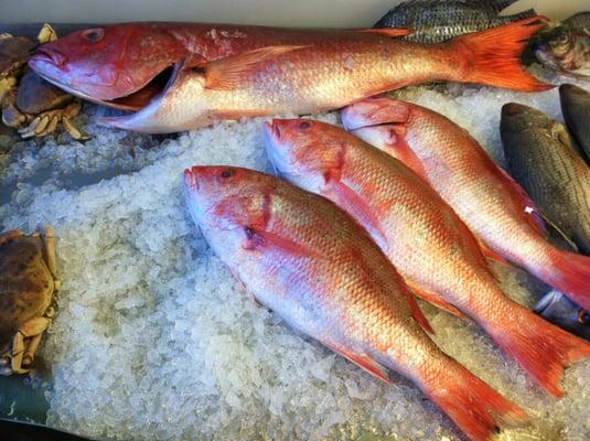 Fresh fish and seafood available on Fridays and Saturdays