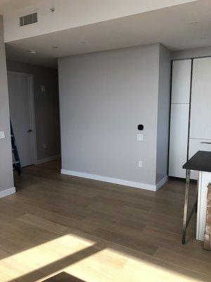 Interior painting Brooklyn apartment