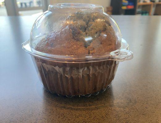 Blueberry Muffin in Case