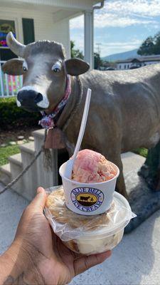 Strawberry cheesecake ice cream, a pumpkin spice cookie, & praline ice cream..  all a 10/10