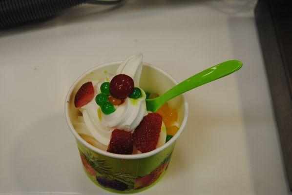 Frozen Yogurt made by you