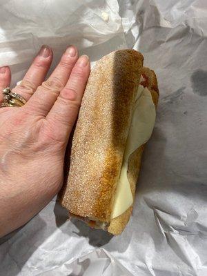 The sandwich half that was $9.00 whole. My hand as a size comp. I have a relatively small hand