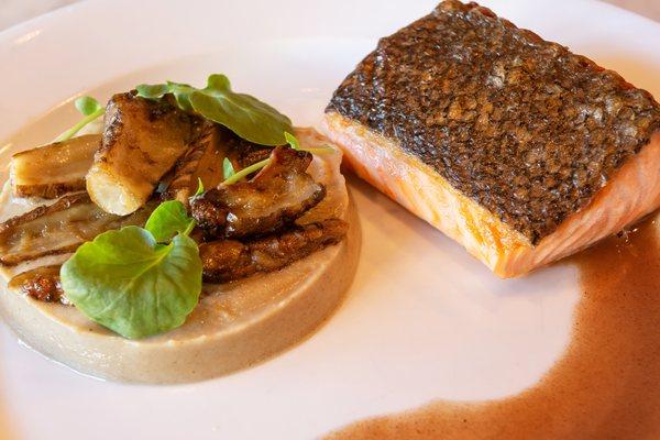 SALMON
 Sunchokes Pureé and Caramelized, Violet Mustard Sauce