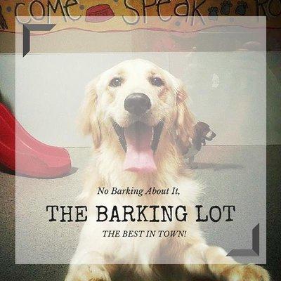 The Barking Lot