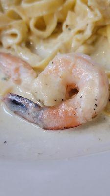 Shrimp Fettuccine Alfredo