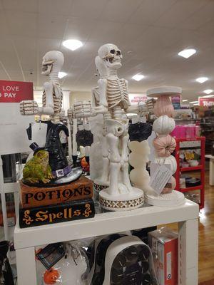 Pumpkin and halloween stuff are out