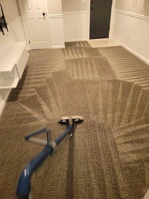 Top notch carpet cleaning available today!