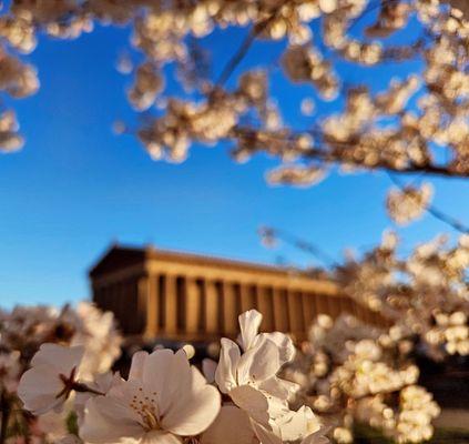 The Parthenon