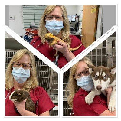 Dr. Rupley with a puppy, guinea pig, and bearded dragon