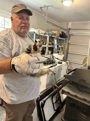 Norm, the owner of the company has just caught a baby raccoon that was hiding in a garage in Dalton, GA. The raccoon was unharmed.