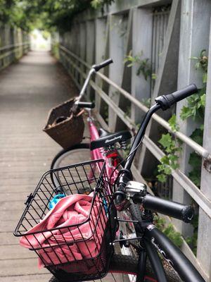 Bike trail.