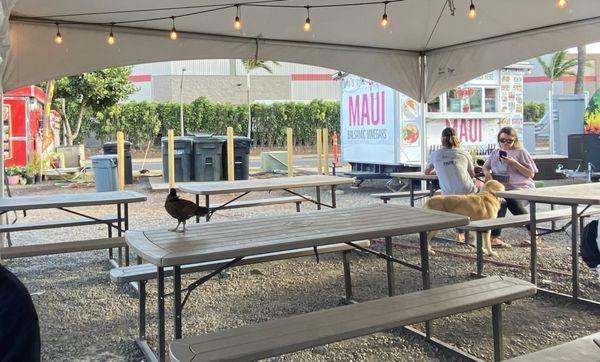 Costco Food Truck sitting area