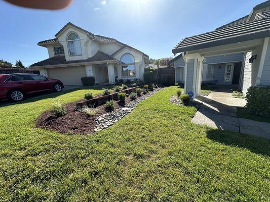 Front landscaping by Coastal Evergreen