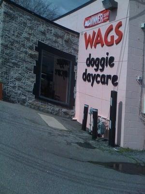 Wags Doggie Daycare & Self Dogwash