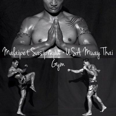 Muay Thai aka The Art of 8 Limbs.