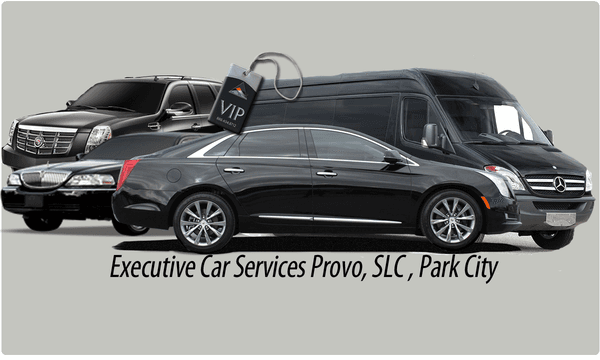 See why all the top Corporations and VIP use us. We have the newest and best vehicle in Utah Valley. Check out our brand new Sprinter Limo