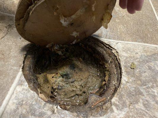 literal hole in the living room floor, filled with bugs and mud that they put a loose piece of wood on top of to cover up